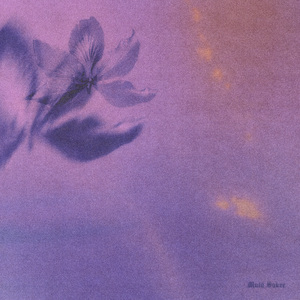 人与物videos另类
