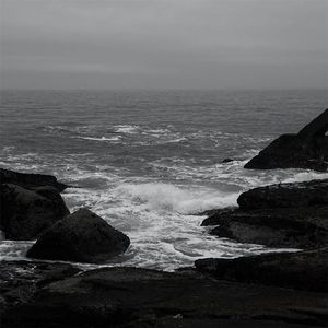 人与物videos另类
