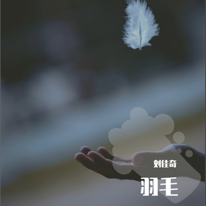 人与物videos另类
