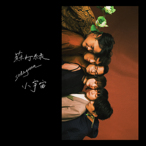 人与物videos另类
