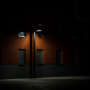 人与物videos另类
