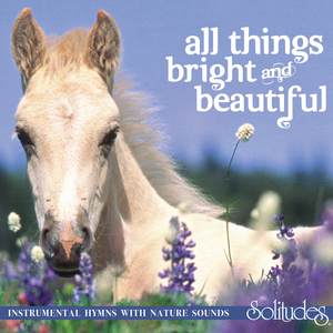 人与物videos另类
