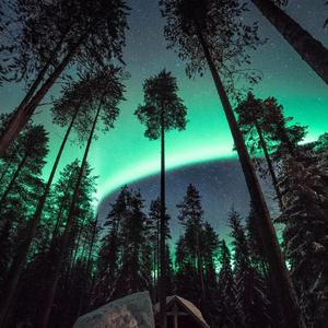 人与物videos另类
